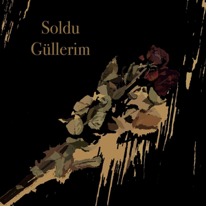 Soldu Güllerim