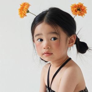 未知的宝藏