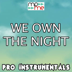 We Own the Night (Karaoke Version) (Originally Performed By the Wanted)