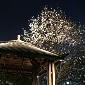 承诺如风干沙堡