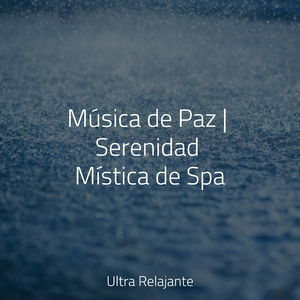 Revolotea en La Brisa