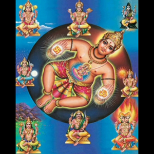 Om Vaastoshpate Prati Jaanidyasmaan Swaawesho Anamee Vo Bhavaan 108 Times