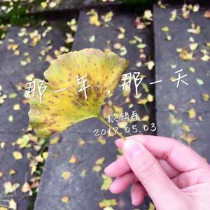 那一年，那一天