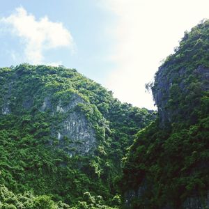 爱过也痛过哭过也伤过