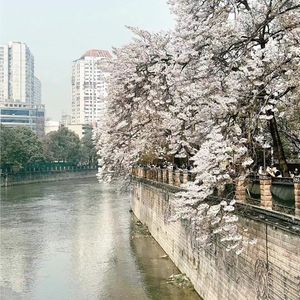 今夜船开