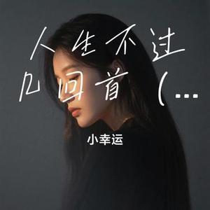 人生不过几回首