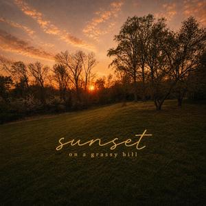Sunset on a Grassy Hill