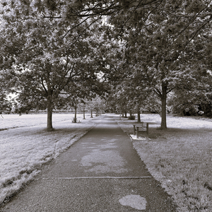 Donotdisturb Aka myLoveforyoutrulybegan Aka Thereisalightthatbarelyshine