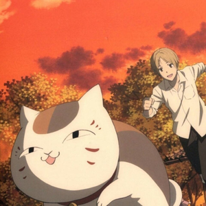 猪猪侠(抖音片段）