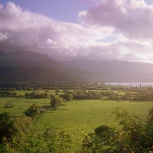 2019-09-10 15:53 (feat. Harris Made It)