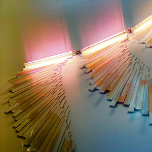 UNINSURED (STARTING NOW)