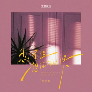 忍不住想你的时候