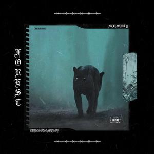 密林（feat turcoonomercy!)