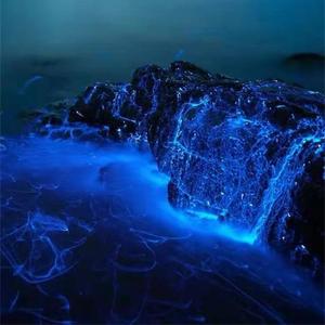 爱情抱拥不必抱歉