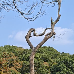 你会不会路过我的明天