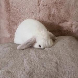 您撥的電話現在無法接通✩⡱請稍後再騙