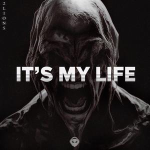 It's My Life (HARD TECHNO)