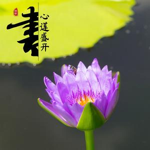 悟道之声（修心曲）