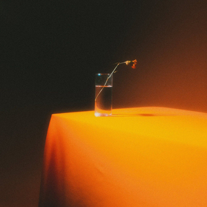 oko (feat. Steezyboy)