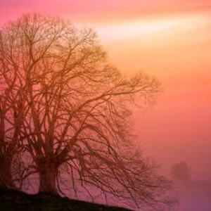 聞き分けの悪い