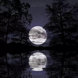 独狼( prod.Simon Marcus)