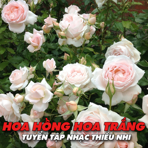 Bố ơi kể chuyện con nghe