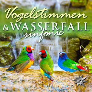 Vogelstimmen & Wasserfallsinfonie 3