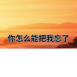 你怎么能把我忘了
