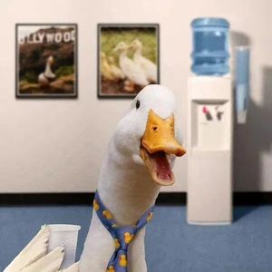 看得最远的地方