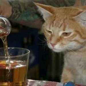 I'm very happy(Prod by RedRumMusic)