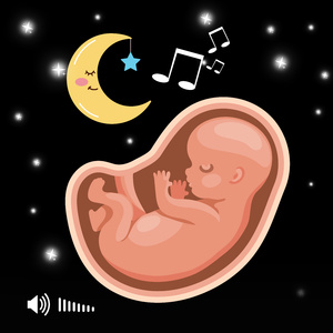 Som de Útero Infalível