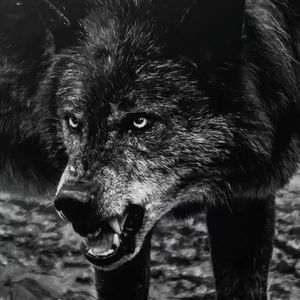 “kkluv&那奇沃夫” “WG” type 凶猛drill beat