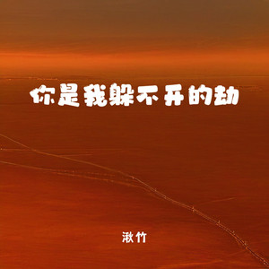 你是我躲不过的劫