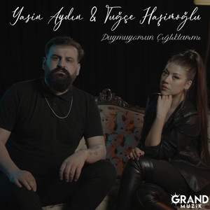 Duymuyorsun Çığlıklarımı