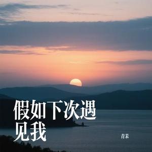 假如下次遇见我 (Cover 橘子妹)