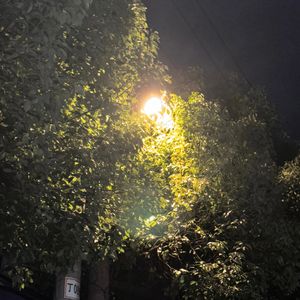 At the end of the next summer（当下一个夏日结束的时候）