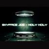 Skyface Joe - Holy Holy