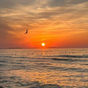 太阳点亮了-整曲 伴奏