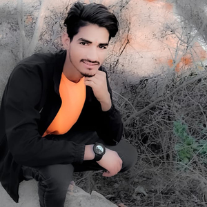 Padbali Ler Gulal Dolch Holi Special