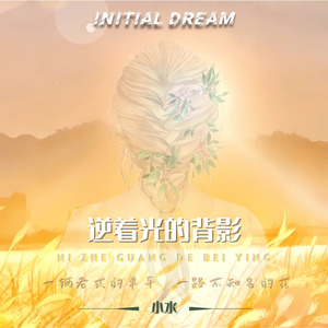 逆着光的背影 (和声伴奏)