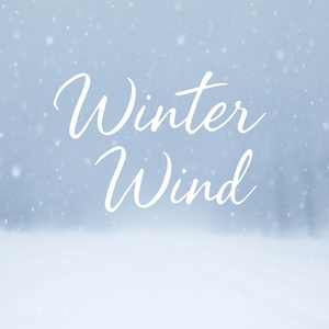 겨울 바람 (Instrumental)