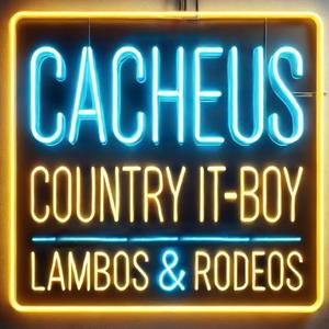 COUNTRY IT BOY (feat. LAMBOS & RODEOS)