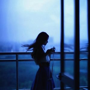 shapes (feat. seagull!)