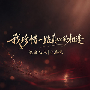 我珍惜一路真心的相逢