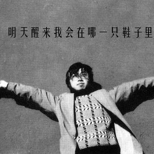 明天醒来我会在哪一只鞋子里