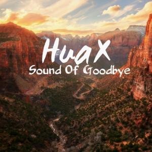 Sound Of Goodbye