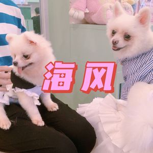 海边（Prod . Xouns）