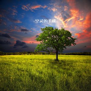 心旷神怡 (手碟)