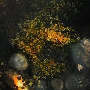 Diminished
