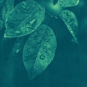 温和安静的时光梦想